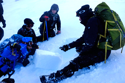 Examining a section of the snow pack